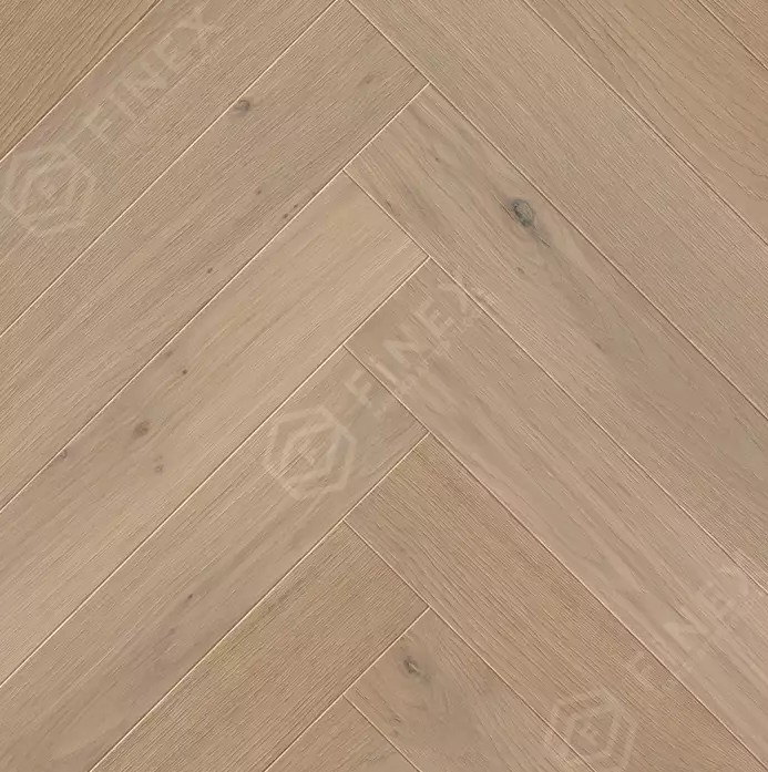 Солис англ