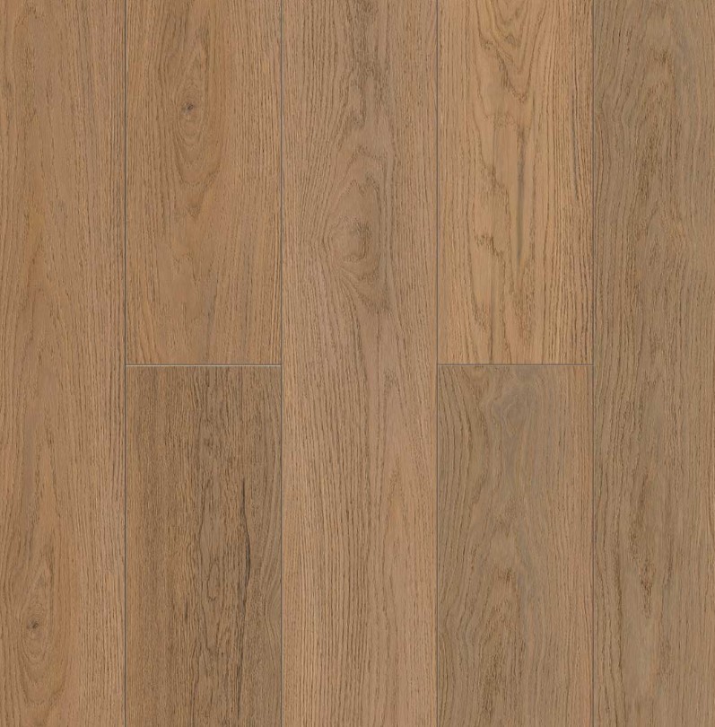 5002-01_1.jpg