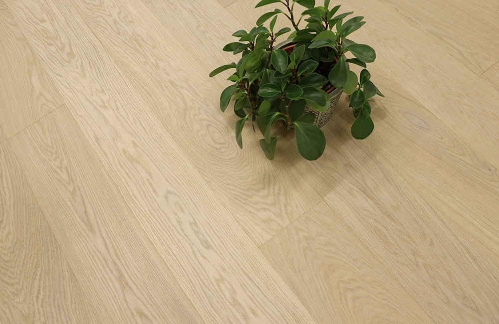 OAK STORY DAISY DEEP MATT_int_1000