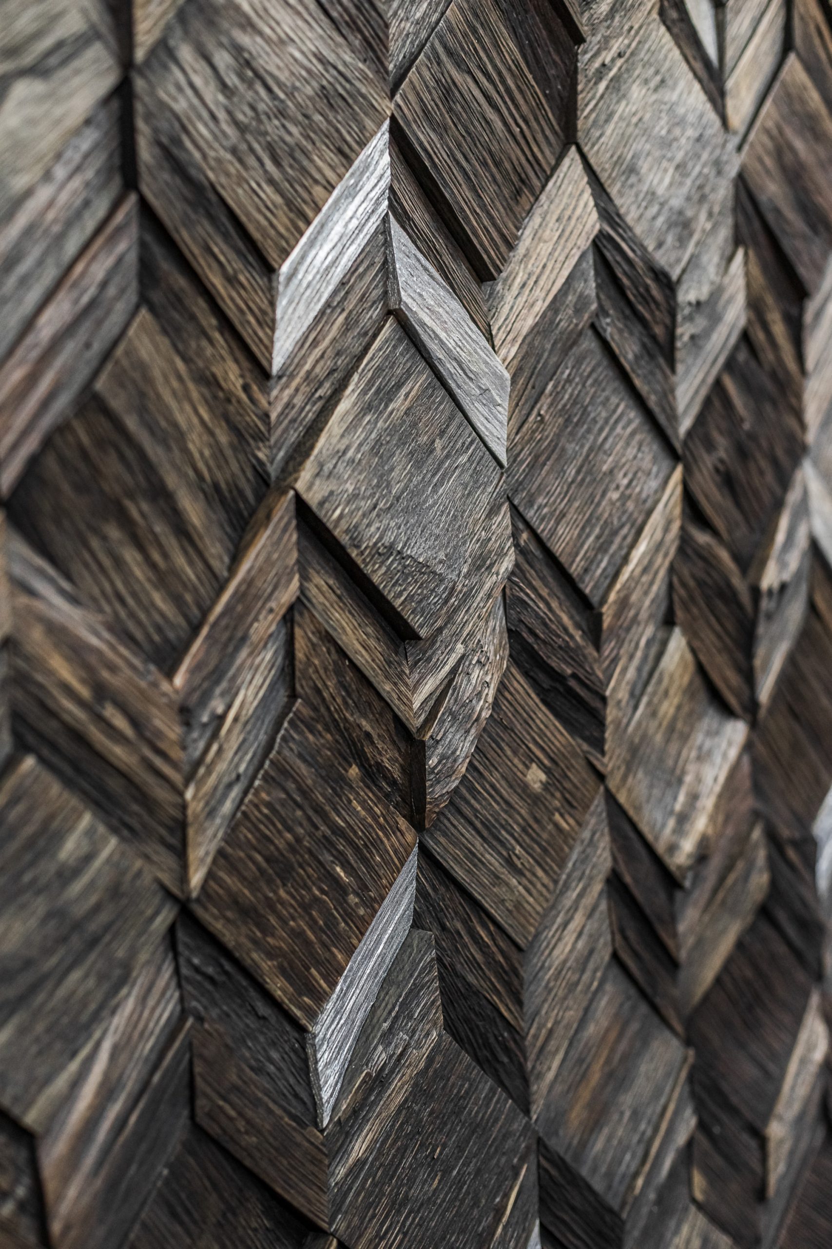 vira_eben_art.wp3d21r061_3.jpg