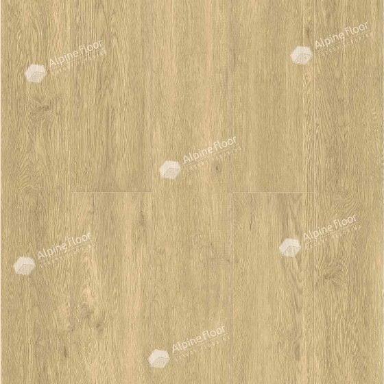 Клеевой виниловый пол Alpine floor Дуб Кремовый ECO 3-23