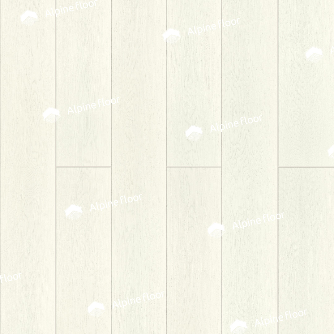 11-2107 (1)