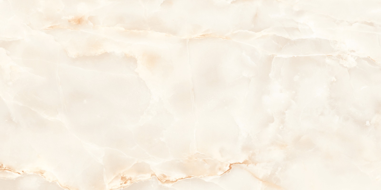 O4453C_F1