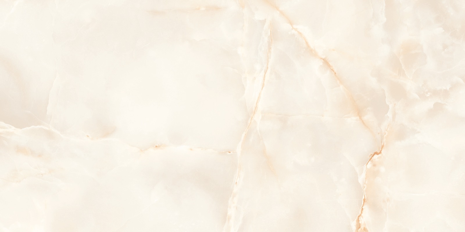 O4453C_F10