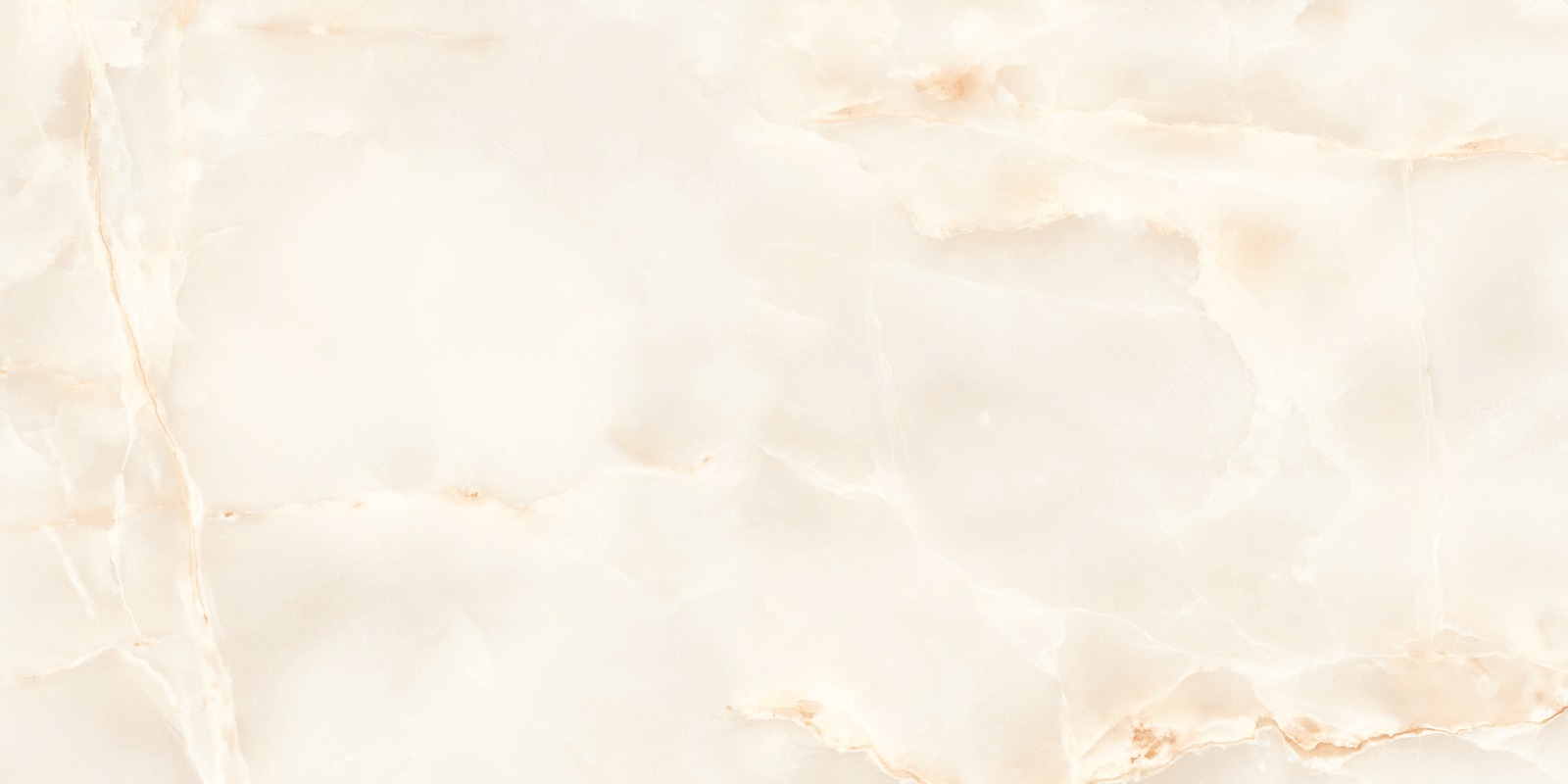 O4453C_F5