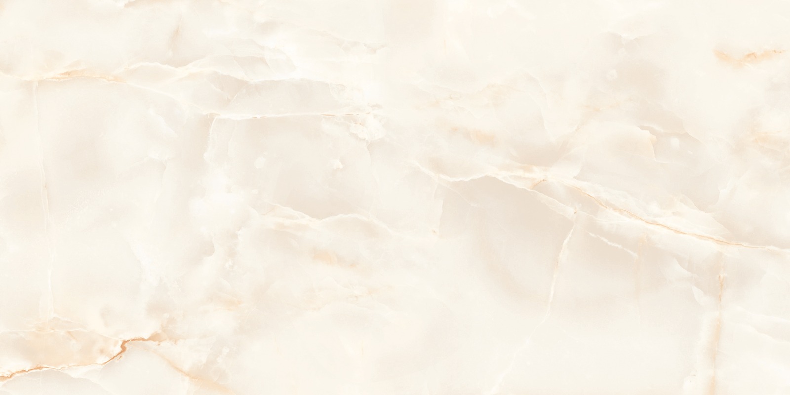 O4453C_F6