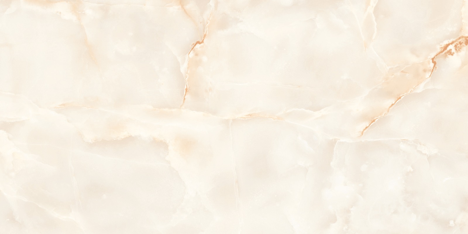 O4453C_F8