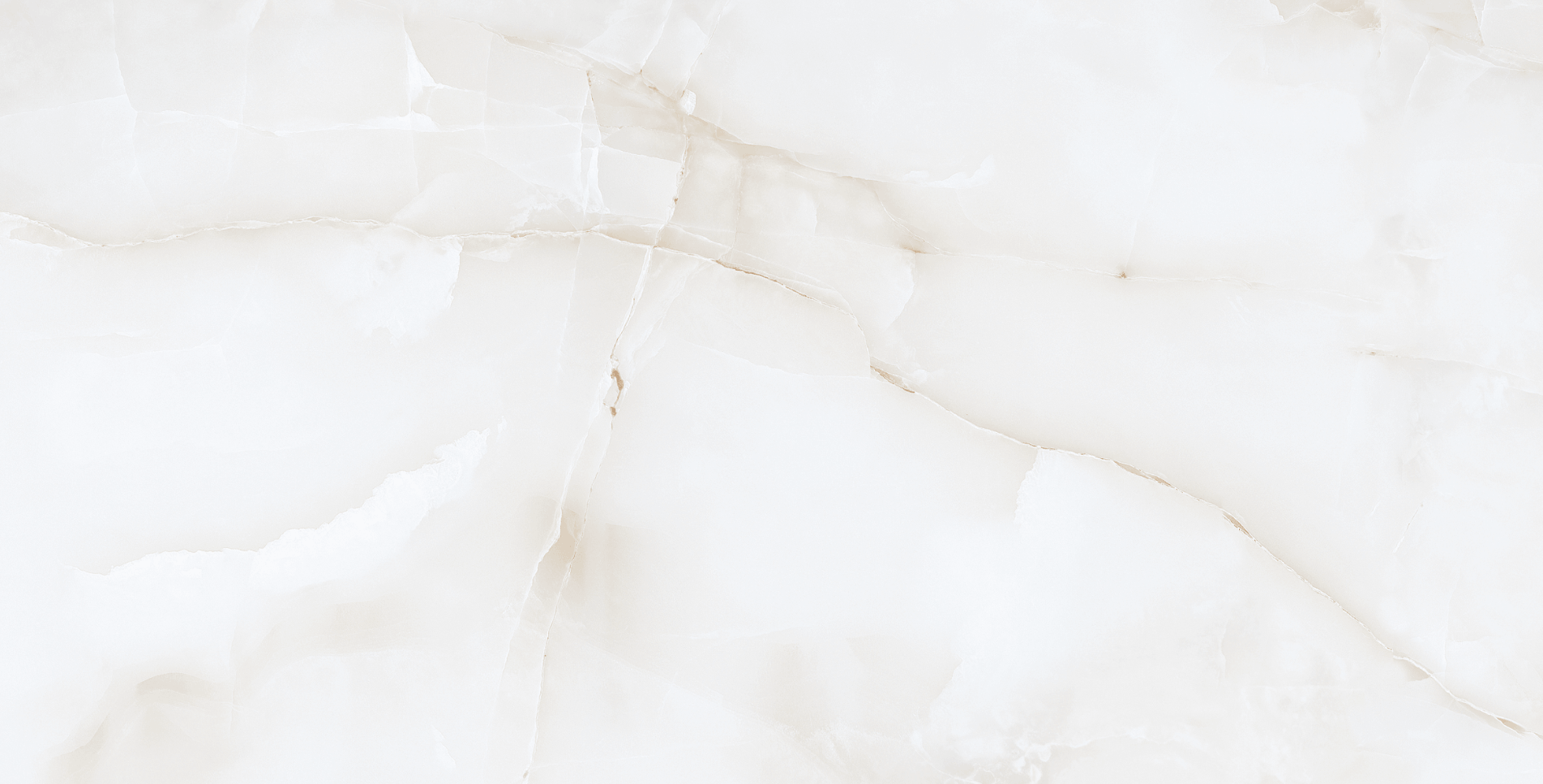 NTTVL99953D 2_11zon