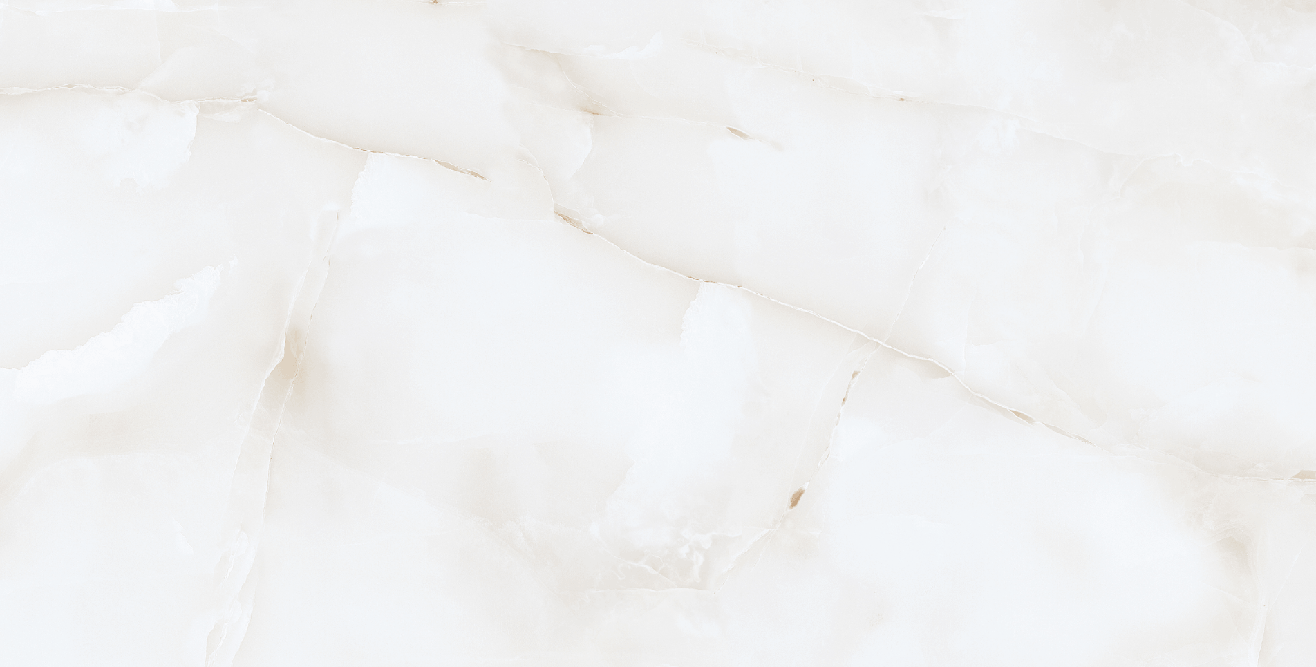 NTTVL99953D 3_11zon